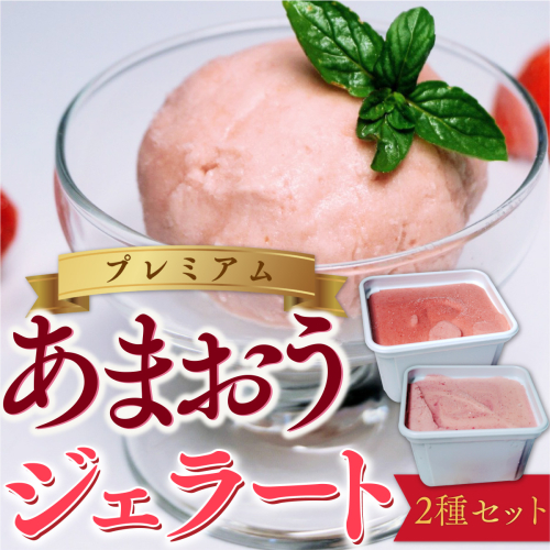 アイス いちご プレミアム あまおう ジェラート 2種 セット [THE FARM_strawberry 福岡県 宇美町 um40azo780003] イチゴ 苺 フルーツ 果実 甘い デザート 131388 - 福岡県宇美町