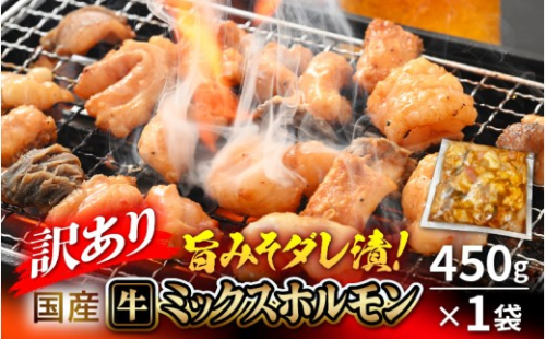 【訳あり】国産 牛 ミックスホルモン 450g × 1袋 シマチョウ・ぷるぷる小腸・ハチノス・センマイ・ミノ・タケノコ 旨みそダレ漬！【8月発送】【 お手軽 冷凍 BBQ バーベキュー 】 [e03-a059_08] 1313984 - 福井県越前町