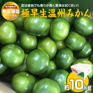 ＼8月31日まで！数量限定／  極早生温州みかん 10kg 秀品・優品 M～2Sサイズ 香りが高く果実は紅く甘い 国産 鹿児島県産 長島町 フルーツ 柑橘 みかん 温州 柑橘【鹿児島いずみ農業協同組合】ja-1367