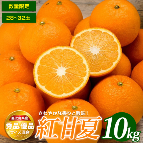＜期間・数量限定＞紅甘夏(10kg)国産 鹿児島県産 長島町 フルーツ 柑橘 みかん 紅甘夏 柑橘【鹿児島いずみ農業協同組合】ja-7106 131451 - 鹿児島県長島町