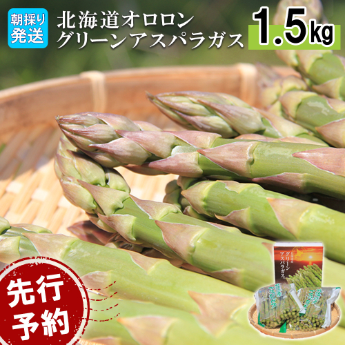 【2026年 先行予約！】【朝採り発送】北海道オロロングリーンアスパラガス 1.5kg（露地物）【0410502】 1314548 - 北海道羽幌町