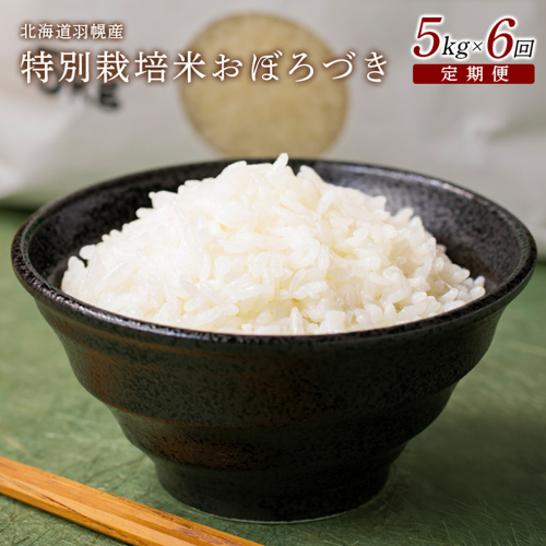 【2025年産】 【定期便：6回】 北海道羽幌産 特別栽培米 おぼろづき5kg【0811402】 1314556 - 北海道羽幌町