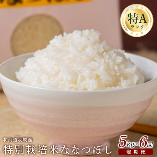 【2025年産】 【定期便：6回】 北海道羽幌産 特別栽培米 ななつぼし5kg【0811502】 1314557 - 北海道羽幌町