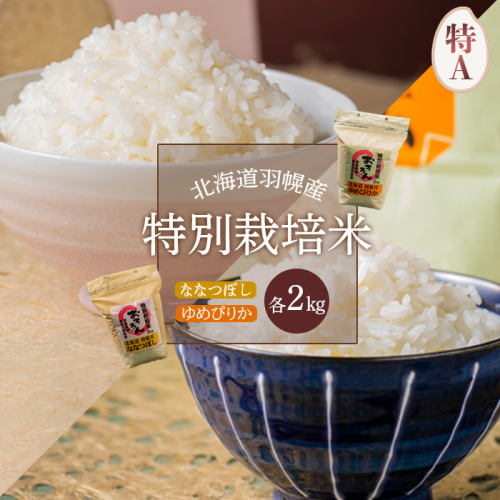 【2025年産】 北海道羽幌産 特別栽培米 ゆめぴりか2kg・ななつぼし2kgセット【0811702】 1314559 - 北海道羽幌町