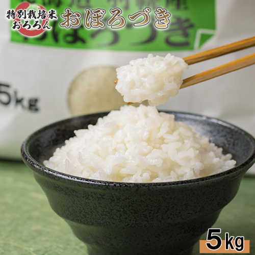 【2025年産】 北海道羽幌産 特別栽培米 おぼろづき5kg【0811802】 1314560 - 北海道羽幌町