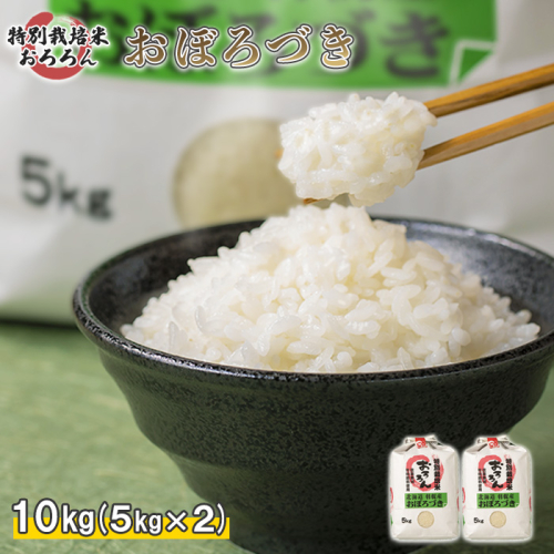 【2025年産】 北海道羽幌産 特別栽培米 おぼろづき10kg （5kg×2セット）【0812102】 1314563 - 北海道羽幌町