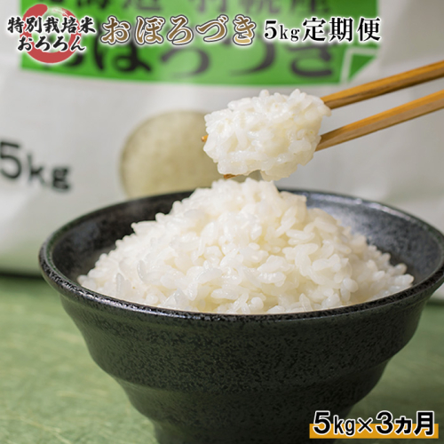 【2025年産】 【定期便：3回】 北海道羽幌産 特別栽培米 おぼろづき5kg【0812602】 1314568 - 北海道羽幌町