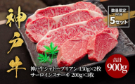 [2025年10月配送]神戸牛シャトーブリアン150g×2枚・サーロインステーキ200g×3枚 計900g[神戸ビーフ 神戸牛 但馬牛 世界農業遺産 ブランド和牛 国産 和牛 牛肉 お肉 赤身 シャトーブリアン ヒレ サーロイン ステーキ 希少部位 数量限定 人気 おすすめ 冷凍]