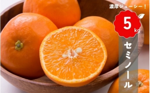 【先行予約】橋本農園の セミノール 5kg 【2025年3月中旬から4月中旬に順次発送】 / セミノール 柑橘 フルーツ 果物 くだもの 先行予約 1314706 - 三重県紀宝町
