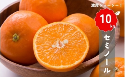 【先行予約】橋本農園の セミノール 10kg 【2025年3月中旬から4月中旬に順次発送】 / セミノール 柑橘 フルーツ 果物 くだもの 先行予約 1314708 - 三重県紀宝町