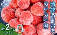 冷凍 あまおう カチカチ君 (1kg×2袋)  苺 いちご 冷凍いちご 3S14