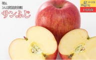 1月 特A  サンふじ約5kg（12～18個）14.5度糖度保証【青森りんご・ゆうきアップル・1月】