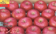 1月 贈答規格 サンふじ約5kg（12～18個）13度糖度保証【青森りんご・ゆうきアップル・1月】