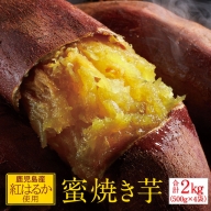 A1-22519／蜜 焼き芋 2kg （500g×4袋） 冷凍 焼いも 紅はるか 鹿児島産