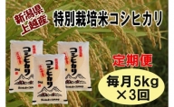 【定期便】新潟県上越産特別栽培米コシヒカリ5kg×3回　令和5年度産