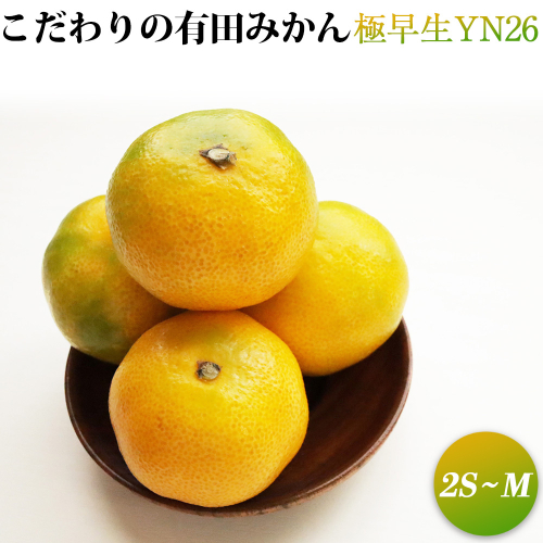 ZT6226n_【2025年先行予約】こだわりの有田みかん 2kg 極早生YN26 サイズ2S~M 1315764 - 和歌山県湯浅町
