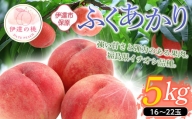 福島の桃 ふくあかり 5kg（16～22玉） 【あかい果樹園】 先行予約 フルーツ 果物 もも モモ momo F20C-901
