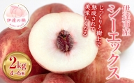 福島県産 シーエックス 2kg 2024年9月中旬～2024年10月上旬発送 先行予約 予約 大玉 固め 伊達の桃 桃 もも モモ 果物 くだもの フルーツ 国産 食品 F20C-907