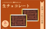 生チョコレート「長瀞一万坪の岩畳」Ｍサイズ（約133g×2箱入り）