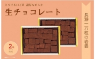 生チョコレート「長瀞一万坪の岩畳」Lサイズ（約189g×2箱入り）