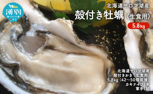 北海道 サロマ湖産 殻付き かき 生食用 5.8kg 牡蠣 カキ 海鮮 魚介 国産 貝付き 生牡蠣 焼き牡蠣 蒸し牡蠣 冷蔵 産地直送 オホーツク 魚貝類 殻付きかき  131666 - 北海道湧別町