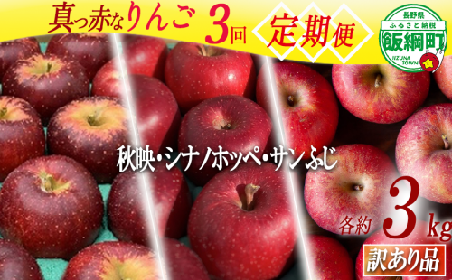 旬の赤いりんご 【 定期便 】 訳あり 3kg × 3回 ( 秋映 シナノホッペ サンふじ ) ファームトヤ 沖縄県への配送不可 2026年10月上旬頃から2026年12月中旬頃まで順次発送予定 令和8年度収穫分 信州 果物 フルーツ リンゴ 林檎 長野 予約 農家直送 長野県 飯綱町 [1837]