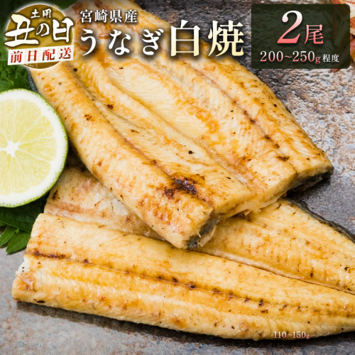 前日配送予約［土用丑の日］うなぎ白焼きギフト 2尾（200～250g/1尾あたり）宮崎県産鰻 蒲焼きタレ付（50ml×1本）【N45-A】 1316943 - 宮崎県新富町