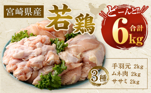 【2025年8月発送】<宮崎県産若鶏3種 計6kgセット> 1316977 - 宮崎県高鍋町