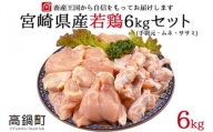 【8月発送】＜宮崎県産若鶏3種 計6kgセット＞