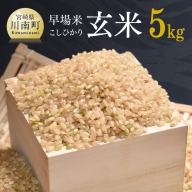 令和6年産「こしひかり（玄米）」5kg【 新米 米 お米 こめ コシヒカリ 玄米 農家直送 国産 送料無料 】
