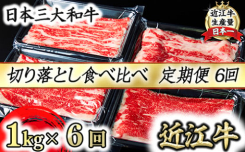 【定期便】全6回　A5 近江牛切り落とし食べ比べ 　250ｇ×4ｐ【FO27U】 1317426 - 滋賀県近江八幡市