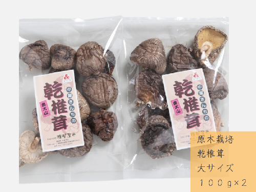 中尾さんちの乾椎茸 大 100g 2袋 原木栽培  大きいサイズ 干しシイタケ / SAC中尾 椎茸屋 0799 1317478 - 鳥取県江府町