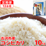 【定期便 12か月】【新米】令和7年産 古河市産コシヒカリ 10kg（5kg×2袋）｜米 コメ こめ ごはん ご飯 ゴハン 白飯 単一米 国産 コシヒカリ こしひかり 10kg 定期便 12ヶ月 12回 1年 茨城県 古河市_DP45