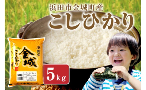 【令和6年産】浜田市金城町産こしひかり　５Ｋｇ 米 お米 精米 白米 5キロ 新生活 応援 準備 【1623】 1317540 - 島根県浜田市