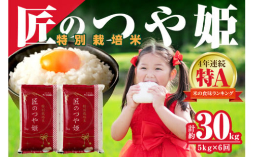 【令和7年産】【定期便】特別栽培米「匠のつや姫」 5kg×6回コース＜7月上旬より配送＞ 定期便 米 コメ 令和7年産 5キロ 島根 県産 新米 精米 玄米 お米 精米 白米 ごはん ご飯 新生活 準備 【058_1860】 1317546 - 島根県浜田市