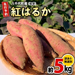 秋の味覚の代表格であるサツマイモの人気品種「紅はるか」の 土付き 生芋約5kgをお届けいたします。 こちらの商品は、Sサイズ〜3Lサイズまでの混在となるため、大きさや形が不揃いのものや規格外のものも含