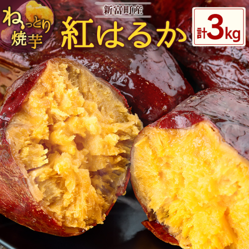 特製焼き芋！熟成蜜芋「紅はるか」計3kg 国産 新富町産 さつまいも ねっとり焼芋 イモ【B641】 1317792 - 宮崎県新富町