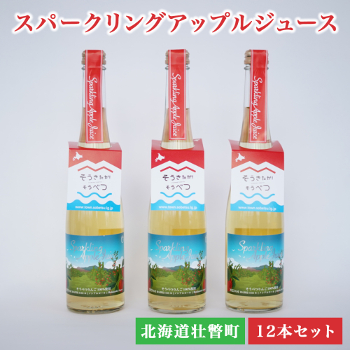 スパークリングアップルジュース12本セット SBTA020 1317900 - 北海道壮瞥町