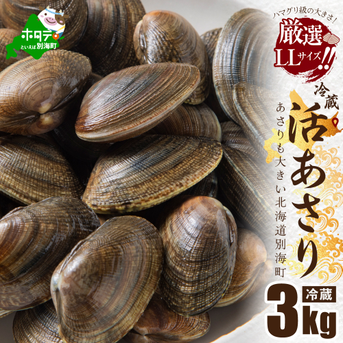 北海道 道東産 活アサリ中 3kg【SS0000020】 1317961 - 北海道別海町