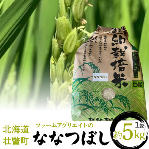 【新米】令和6年産米 ファームアグリエイトのななつぼし　約5kg×1袋 SBTB001 1317966 - 北海道壮瞥町