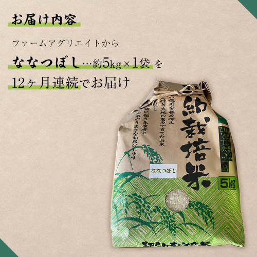 【新米】令和6年産米 ファームアグリエイトのななつぼし　約5kg×1袋を12ヶ月連続お届け SBTB005