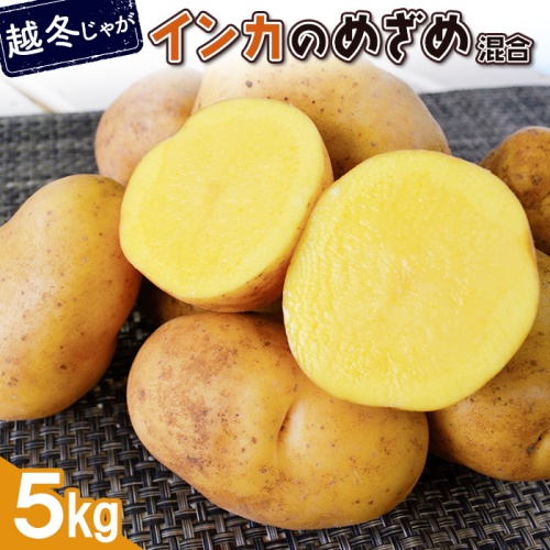 【越冬じゃが】インカのめざめ混合5ｋｇ【83001201】 1318024 - 北海道恵庭市