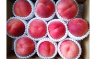 山形の旬の桃（品種おまかせ）３ｋｇ　0030-2410