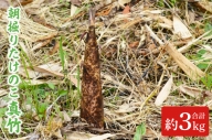 AA038　【５月中旬発送開始】朝採りたけのこ　真竹　約　3kg