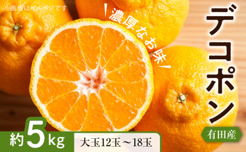 ZD7000_【お味濃厚】紀州有田産 の 大玉 デコポン 5kg (12玉～18玉入り・青秀以上) 1318096 - 和歌山県湯浅町