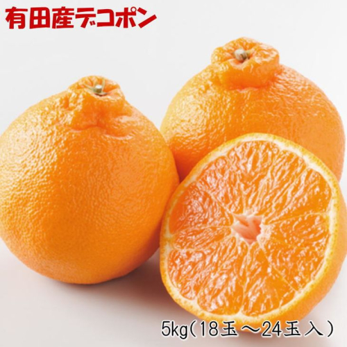ZD7001_【お味濃厚】【2026年先行予約】紀州有田産 の デコポン 約5kg (18玉～24玉入り・青秀以上) 1318098 - 和歌山県湯浅町