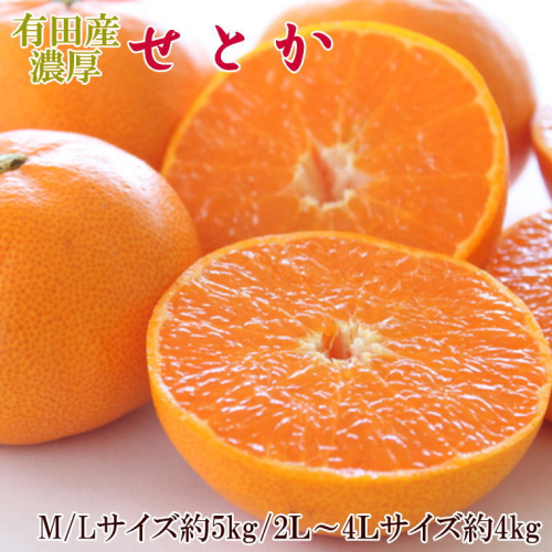 ZD7002_【2026年先行予約】一度は食べていただきたい 有田産のせとか 4～5kg（サイズおまかせ） 1318100 - 和歌山県湯浅町