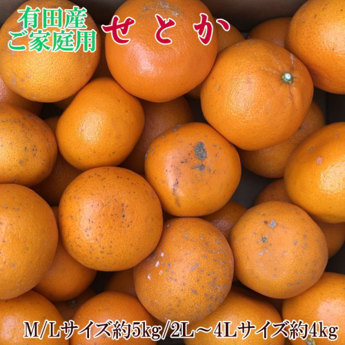 ZD7003_一度は食べていただきたい 有田産のせとか 【訳あり 家庭用】 4kg～5kg (サイズおまかせ) 1318102 - 和歌山県湯浅町