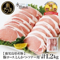 【氷感熟成豚】鹿児島県産 豚ロース とんかつ・ソテー用 計1.2kg