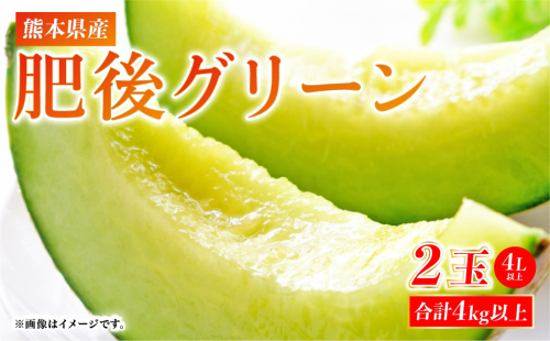 【先行予約】【2025年5月中旬より順次発送】熊本県産 肥後グリーンメロン 2玉 4L以上（合計4Kg以上） 1318313 - 熊本県八代市